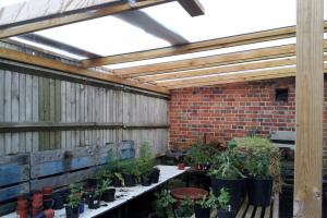New greenhouse roof - smaller.JPG.jpg - Ropewalk Community Garden Summer Growing